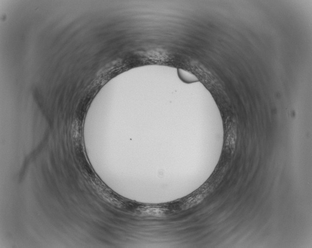 X0000086070518200704202129