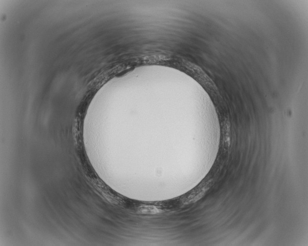 X0000086070519200704202129