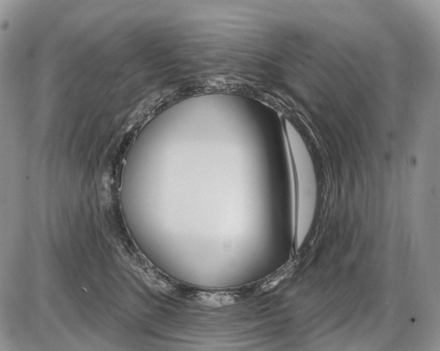 X0000086070520200704202129