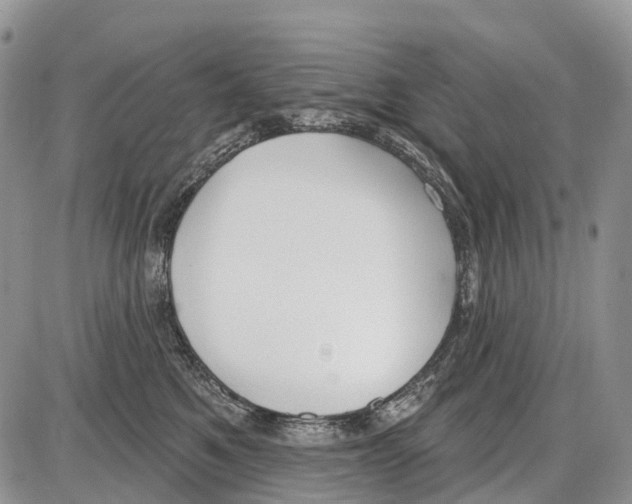 X0000086070521200704202129