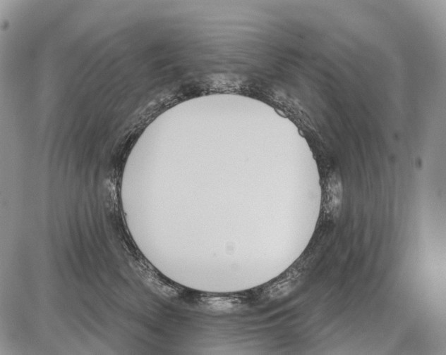 X0000086070522200704202129