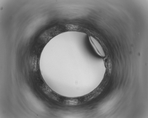 X0000086070525200704202129