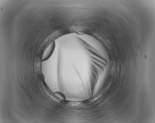 X0000086070526200704202129