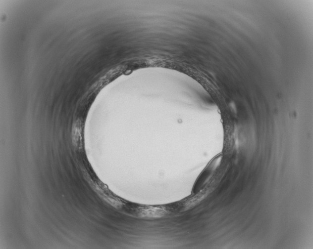 X0000086070527200704202129