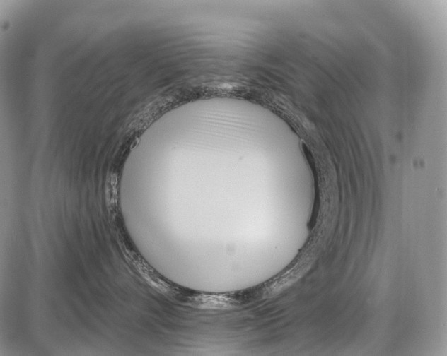 X0000086070528200704202129