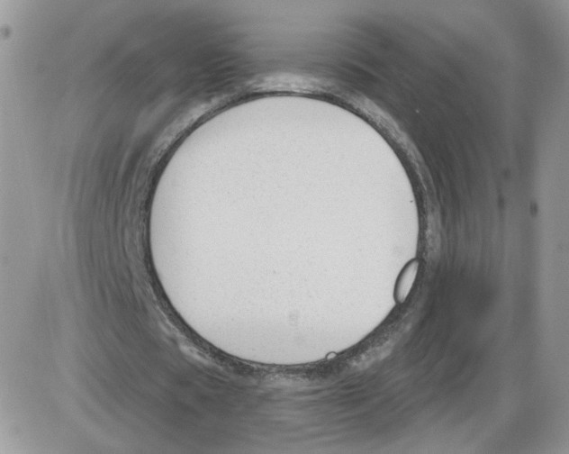 X0000086070529200704202128