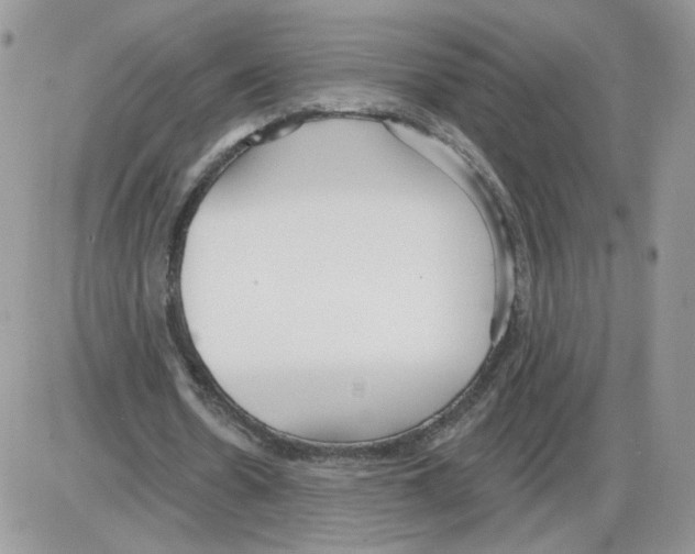 X0000086070530200704202128