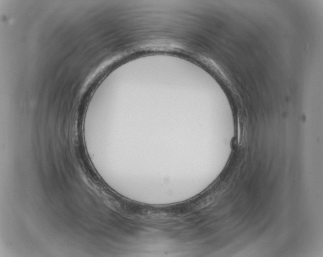 X0000086070531200704202128