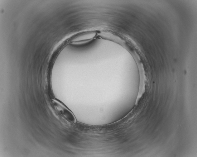 X0000086070532200704202128