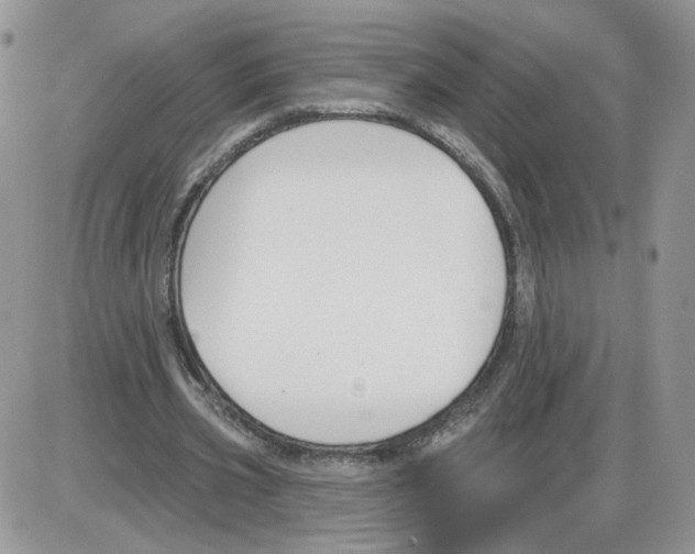 X0000086070533200704202128