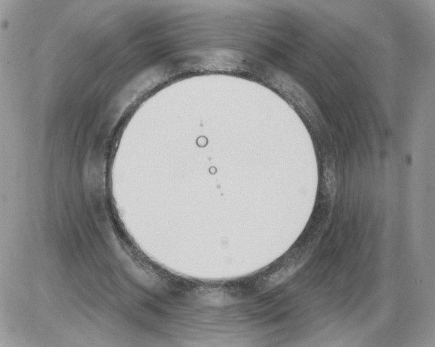 X0000086070534200704202128