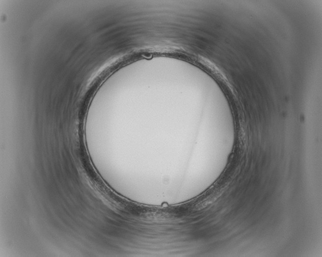 X0000086070535200704202129