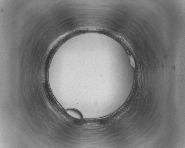 X0000086070536200704202129