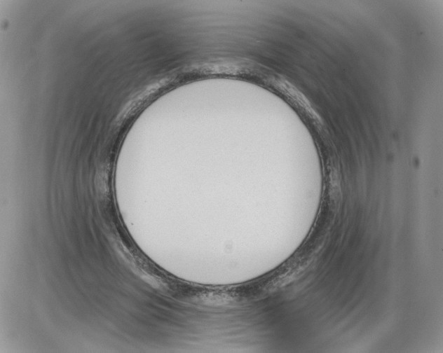 X0000086070537200704202129