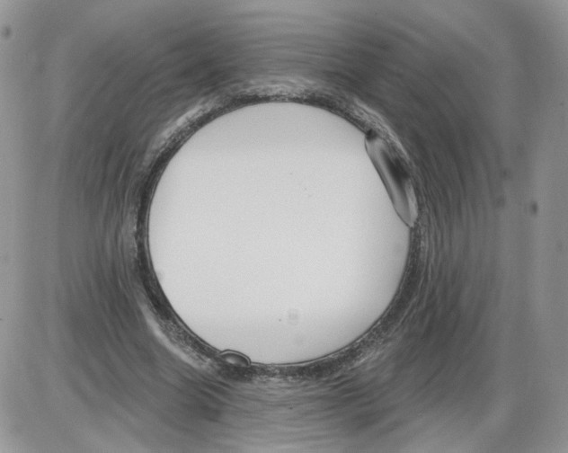 X0000086070538200704202129