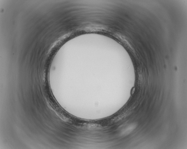 X0000086070539200704202129