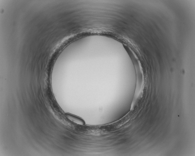 X0000086070540200704202129