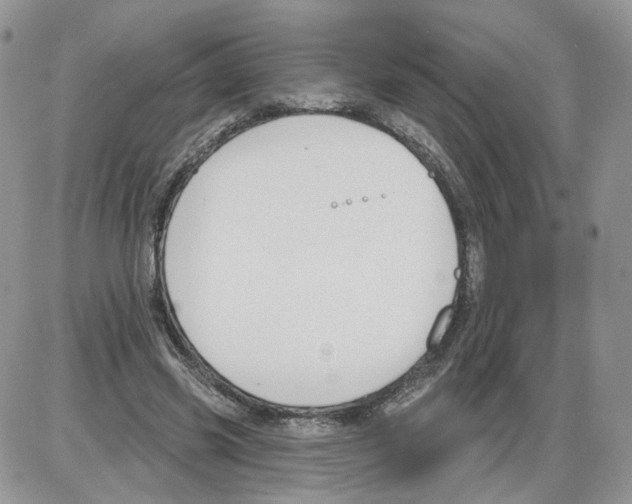 X0000086070541200704202129