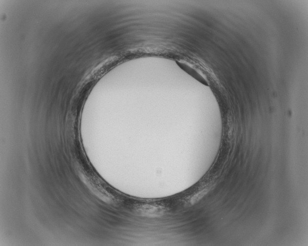 X0000086070542200704202129