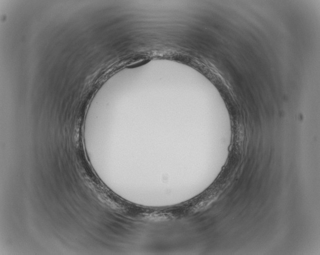 X0000086070545200704202129