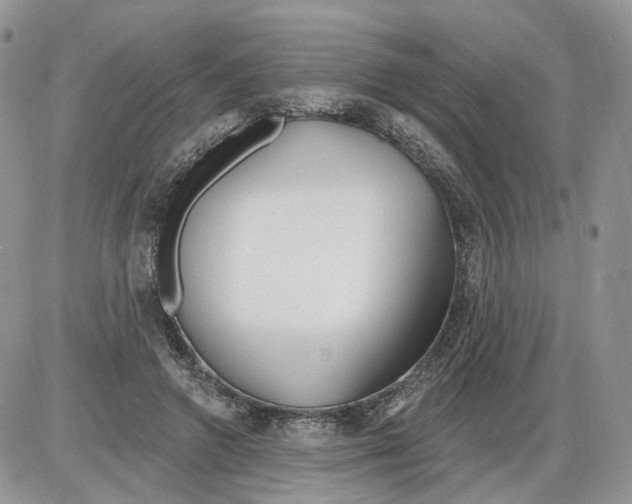 X0000086070546200704202129