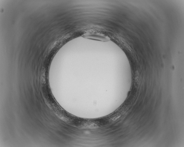 X0000086070547200704202129