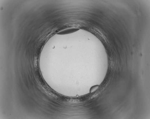 X0000086070549200704202129