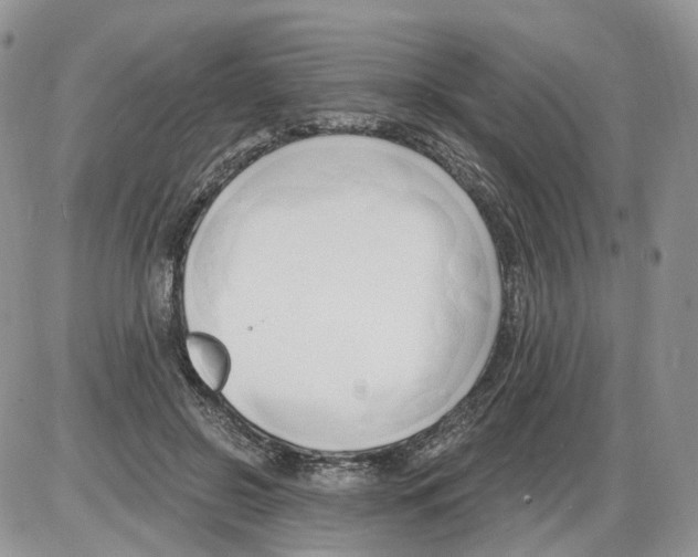 X0000086070550200704202129