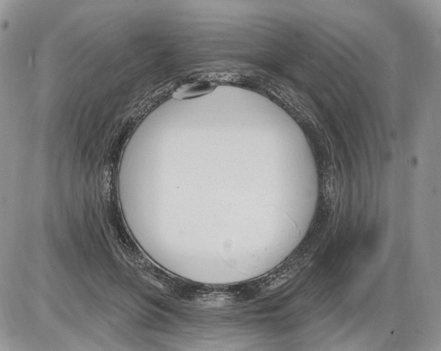 X0000086070551200704202129