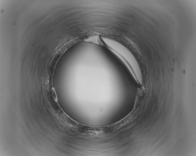 X0000086070552200704202129