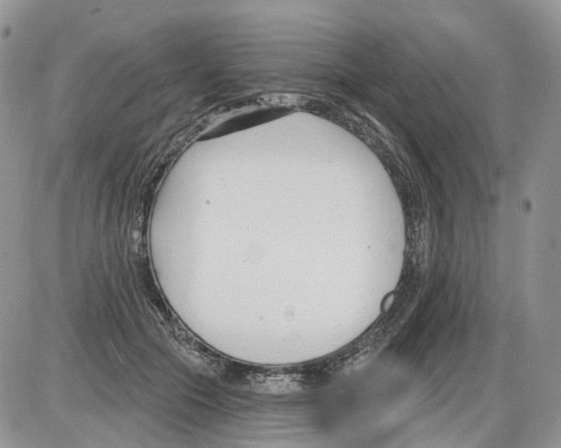 X0000086070553200704202129