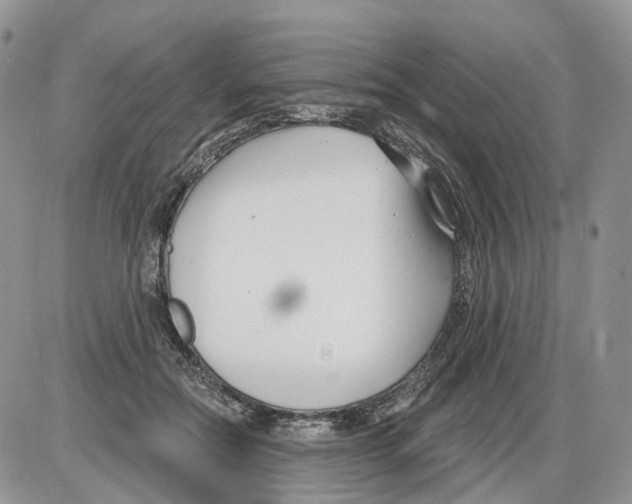 X0000086070554200704202129