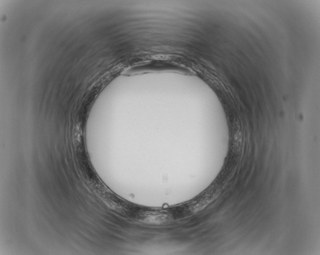 X0000086070555200704202129