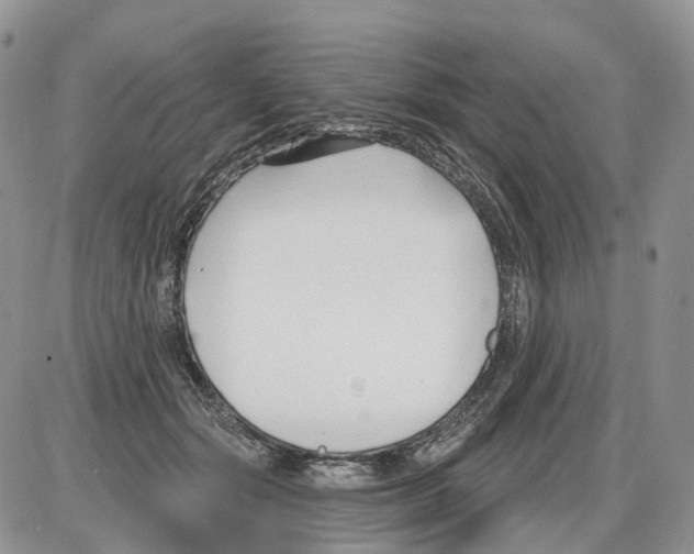 X0000086070557200704202129