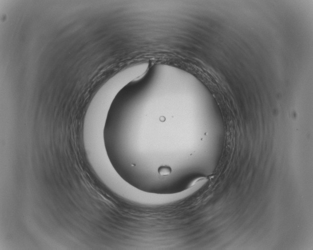 X0000086070558200704202129