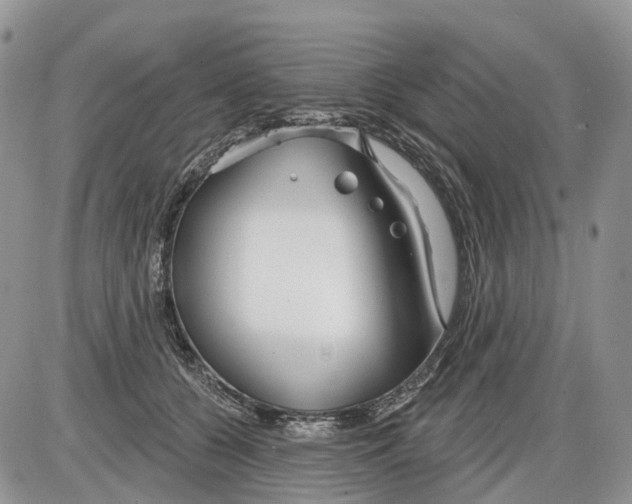 X0000086070560200704202129