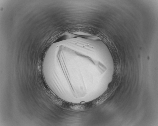 X0000086070561200704202129