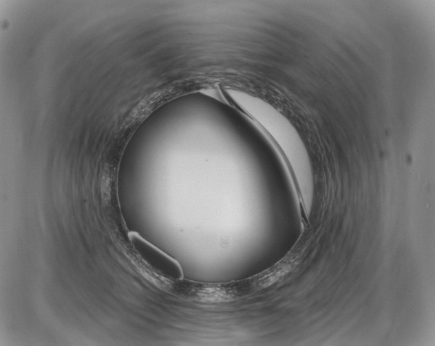 X0000086070562200704202129