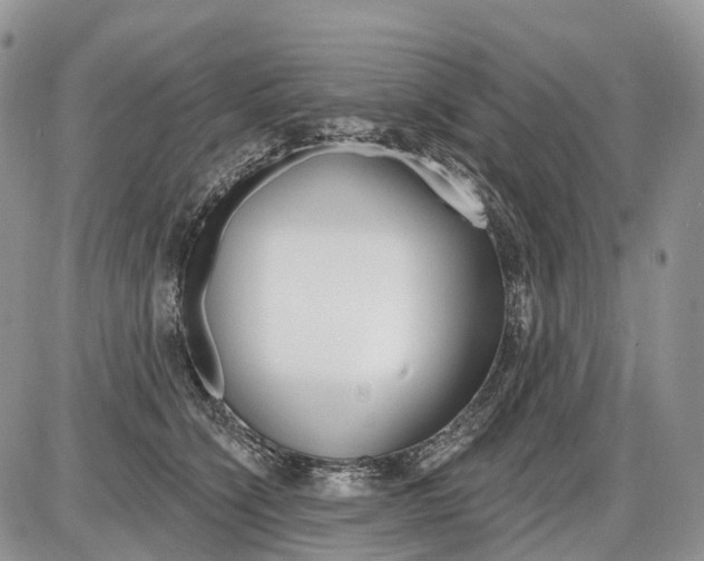 X0000086070564200704202129