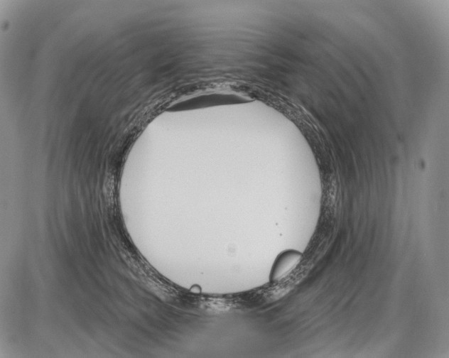 X0000086070565200704202129