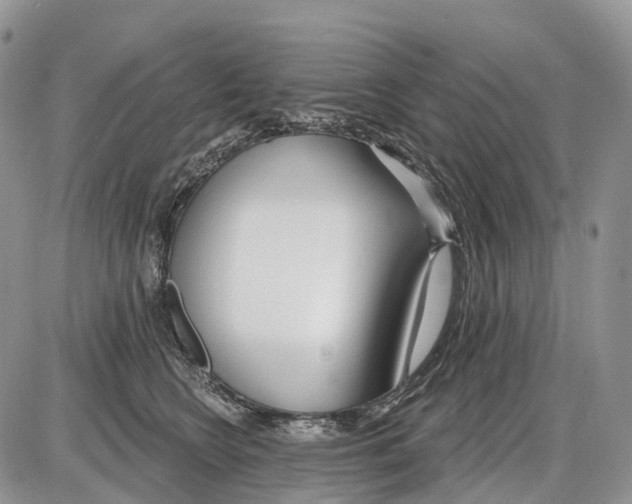 X0000086070566200704202129