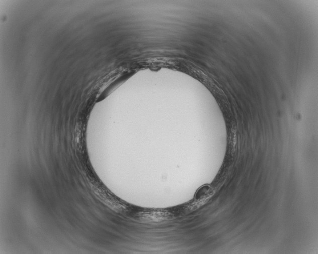 X0000086070567200704202129