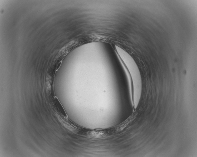 X0000086070570200704202129