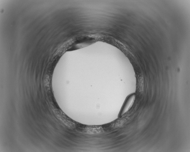 X0000086070571200704202129