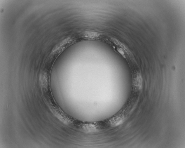 X0000086070572200704202129