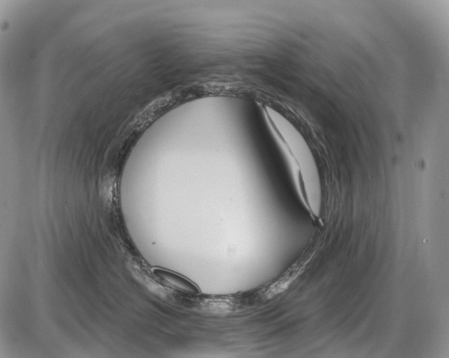 X0000086070574200704202129