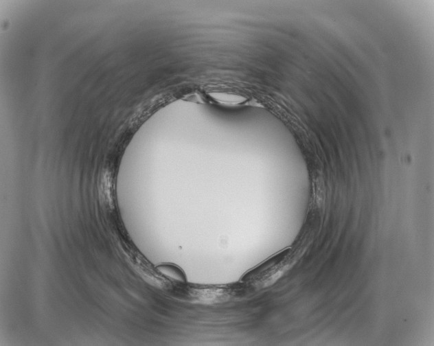 X0000086070575200704202129