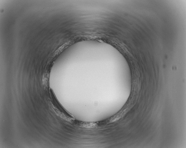 X0000086070576200704202129