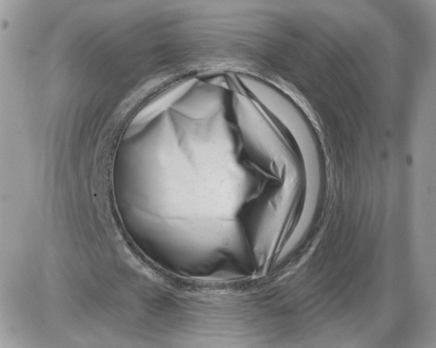 X0000086070577200704202128