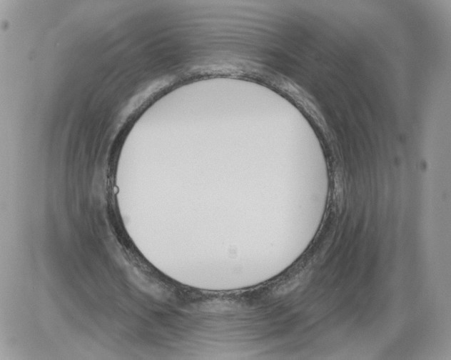 X0000086070578200704202128